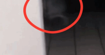 Fantasma Hermosillo Comandancia