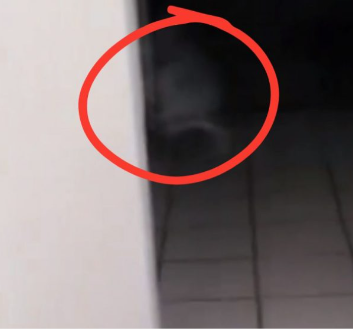 Fantasma Hermosillo Comandancia